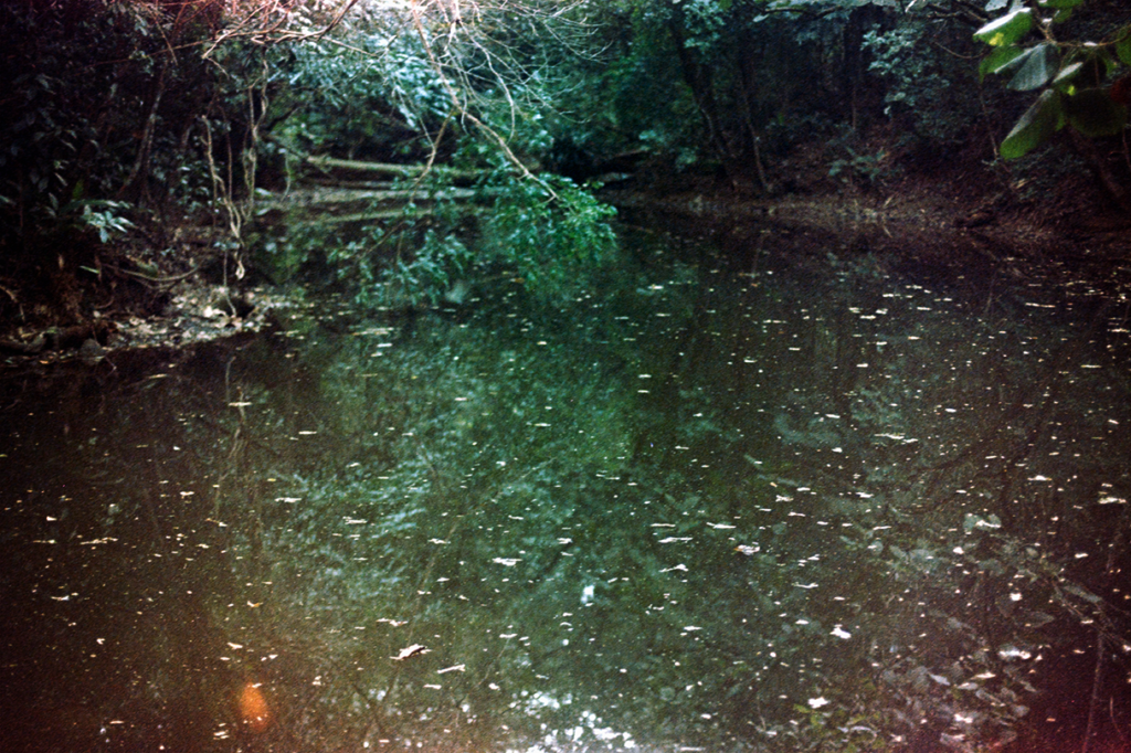 Lago do Parque Alfredo Volpi